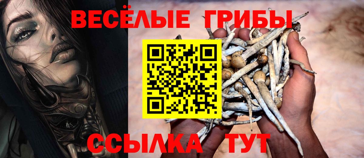 Галлюциногенные грибы Cubensis Сургут